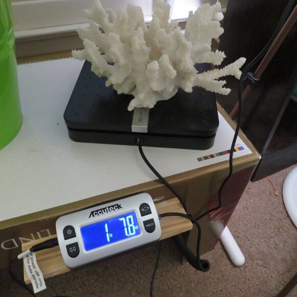 Faux Coral (very realistic) White 5" tall 9x7" wide over 1lb has a repaired arm - Picture 11 of 12